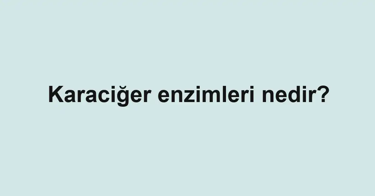 Karaciğer enzimleri nedir?
