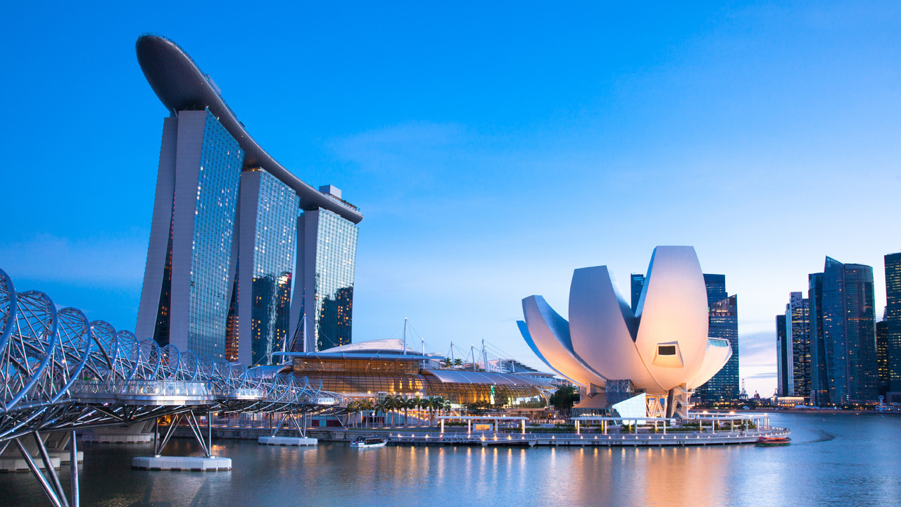 Yapay zeka ortalığı karıştırdı: Singapur’da sahte timsah paniği